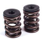 11310-1 Crane Sbc Valve Spring Kit