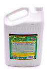 14277 Allstar Performance In Wide Clear Ft Surface Guard 848238004748