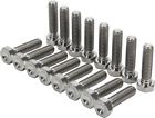 17000 Allstar Performance In Beadlock Bolts Pc 848238060973