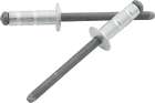 18110 Allstar Performance Small Head Rivet Silver Pc 848238006810