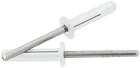 18185 Allstar Performance Small Head Rivet White Pc 848238067088