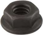 18555-50 Allstar Performance Serrated Flange Lock Nut In Thread 848238008913 18555-50 Allstar Performance Serrated Flange Lock Nut In Thread 848238008913
