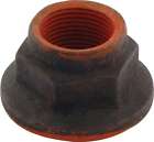 72155 Allstar Performance Ford In Pinion Nut 848238038712