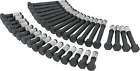 87000 Allstar Performance Cylinder Head Bolt Kit Small Block 848238041699