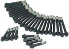 87002 Allstar Performance Cylinder Head Bolt Kit Big Block 848238041705