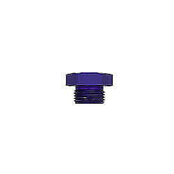 981410 Xrp Size 10 Straight Thread Plug