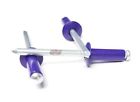 A66s-prp-100-pk Edge Performance Products Purple Small Head Aluminum Steel Mandrel Pop