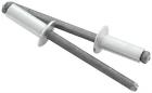 All18103 Allstar Performance Rivets Blindrivets Multigrip Rivet Head Silver 848238006773 All18103 Allstar Performance Rivets Blindrivets Multigrip Rivet Head Silver 848238006773