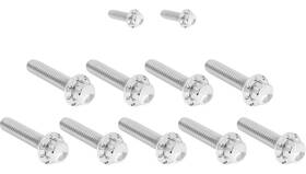 Arlen Ness 300-932 12 Point Cam Cover And Points Bolt Kit - Polished