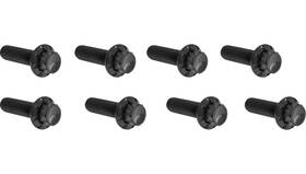 Arlen Ness 300-936 12 Point Lifter Block Bolt Kit - Black