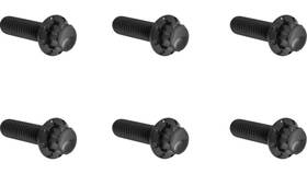Arlen Ness 300-948 12 Point Transmission Top Cover Bolt Kit - Black
