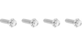 Arlen Ness 300-977 12 Point Brake And Clutch Perch Bolt Kit - Polished