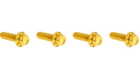 Arlen Ness 300-979 12 Point Brake And Clutch Perch Bolt Kit - Gold