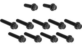 Arlen Ness 300-981 12 Point Cam Cover And Points Bolt Kit - Black
