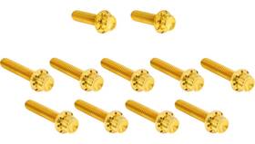 Arlen Ness 300-982 12 Point Cam Cover And Points Bolt Kit - Gold