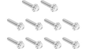 Arlen Ness 300-986 12 Point Cam Cover And Points Bolt Kit - Polished