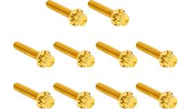 Arlen Ness 300-988 12 Point Cam Cover And Points Bolt Kit - Gold