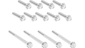 Arlen Ness 300-989 12 Point Primary Bolt Kit - Polished