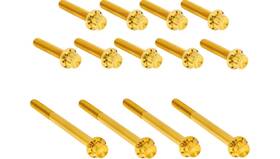 Arlen Ness 300-991 12 Point Primary Bolt Kit - Gold