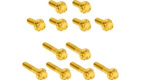 Arlen Ness 300-994 12 Point Rocker Box Bolt Kit - Gold