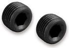 At593202erl Earls Performance Plumbing Aluminum Npt Plug Earl 090127659458