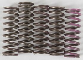 Cs641-5-1901 Hinson Racing Hi-temp Clutch Spring Kit