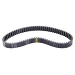 Peterson Fluid Htd Belt 20MM X 608MM 05-1911. Fixed Price $57.56.