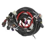 Holley Efi 558-134 Gm Ls Engine Wiring Harness. Fixed Price $688.95.
