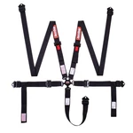 Racequip 841001RQP Camlock 5 Point Harness, Sfi 16.1, Pull-down. Fixed Price $209.95.