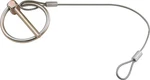 Allstar Performance ALL18462 3/16 In. Flip-over Clip With 10 Lanyard. Fixed Price $23.53.