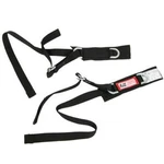 Rjs Safety 11001701 Sfi 3.3 Jr. Dragster Arm Restraint Harness Set Of 2 (black). Fixed Price $49.93.