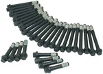 Allstar Performance #ALL87002 Cylinder Head Bolt Kit Bbc 32PCS. Fixed Price $59.99.