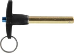 Allstar 60312 Quick Release Pin 3/8IN X 2IN. Fixed Price $31.68.