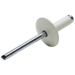 Allstar Performance ALL18011 Large Head Rivet White 250PK. Fixed Price $18.99.