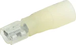 Allstar Performance ALL76088 Blade Terminal Female Heat Shrink 12-10 Pack Of. Fixed Price $7.99.