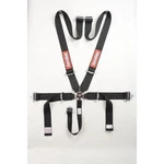 Racequip Fia Camlock 6PT 2IN Pull Down Lap Fhr Black. Fixed Price $355.98.