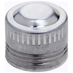 -10 Aluminum Caps 50PK Allstar Performance ALL50825-50. Fixed Price $29.99.