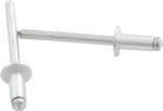 Allstar 18107 Sm Hd Rivet Silver 250PCS. Fixed Price $31.50.