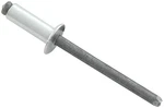 Allstar Performance Sm Hd Rivet Silver 250PK ALL18103. Fixed Price $24.61.