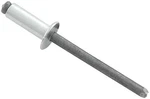 Allstar Performance ALL18103 Sm Hd Rivet Silver 250PK. Fixed Price $12.49.