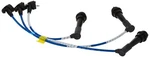 Ngk (6404) RC-TE79 Spark Plug Wire Set. Fixed Price $66.82.