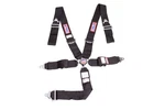 Rjs Safety 5 Point Camlock Harness System With Pull-down Adjust, Black Part. Fixed Price $187.13.