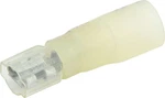Allstar 76088 Blade Terminal Female Heat Shrink 12-10 10PCS. Fixed Price $18.16.