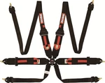 Racequip 854004 Racing Harness Fia 8853-2016 Certified Black 6-POINT Camlock Sty. Fixed Price $349.95.