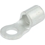 Allstar Performance Ring Terminal #6 Hole Non-insulated 12-10 20PK- ALL76021. Fixed Price $5.91.