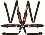 Racequip 854004RQP. Fixed Price $349.95.
