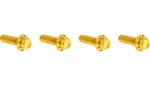 Arlen Ness 300-979 12 Point Brake And Clutch Perch Bolt Kit Gold. Fixed Price $39.95.
