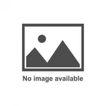Fivestar Door - High Impact MD3 Dirt Passenger Side Plastic Gray Each. Fixed Price $131.28.