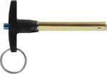 Allstar Performance ALL60306 Quick Release Pin - 5/16 Dia. 2 Long. Fixed Price $21.99.