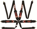 Racequip 854004RQP Harness Hnr/hans 6 Point Camlock Fia Pull Up Adjust. Fixed Price $349.95.